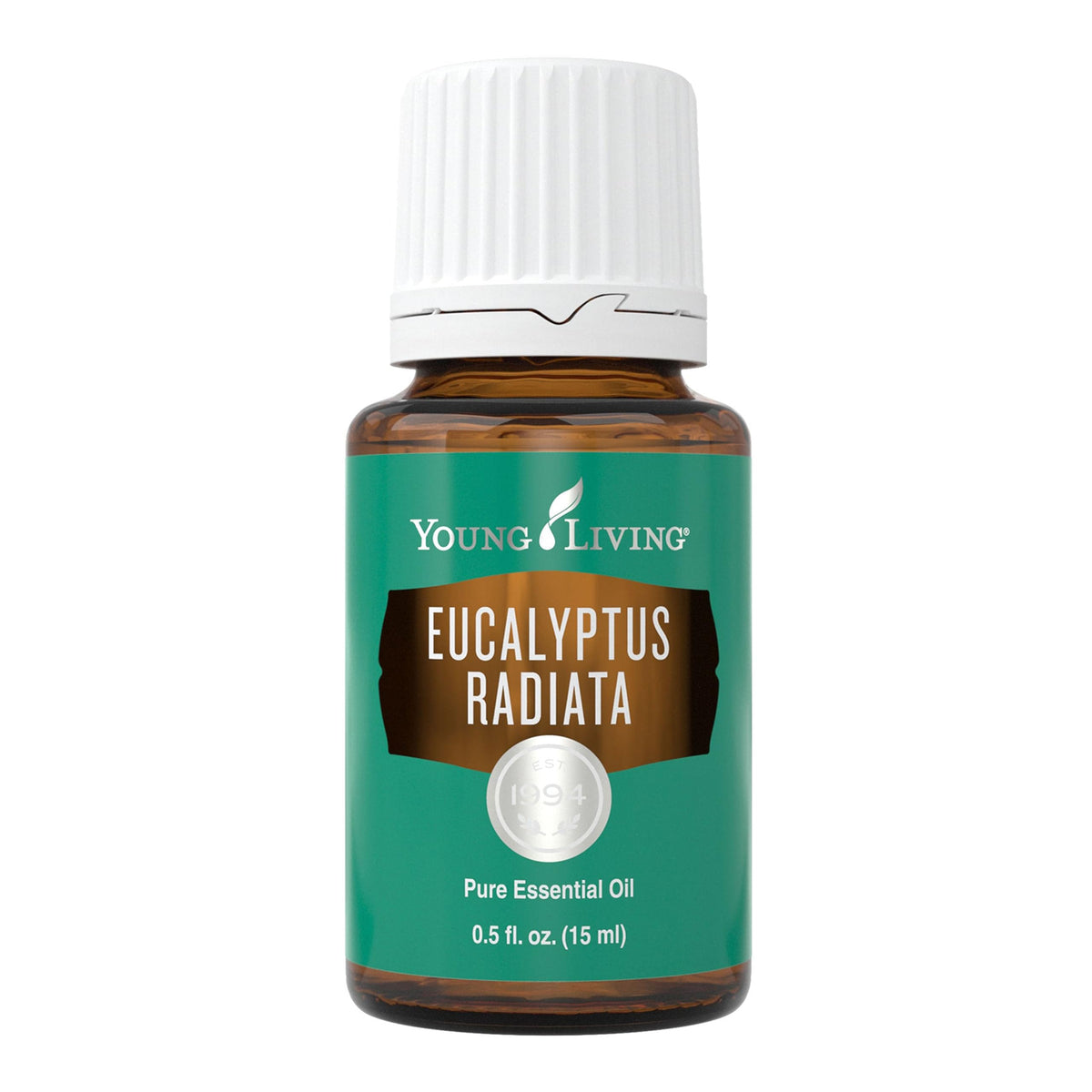Young Living Eucalyptus Radiata bottle close-up for a refreshing aroma at home.