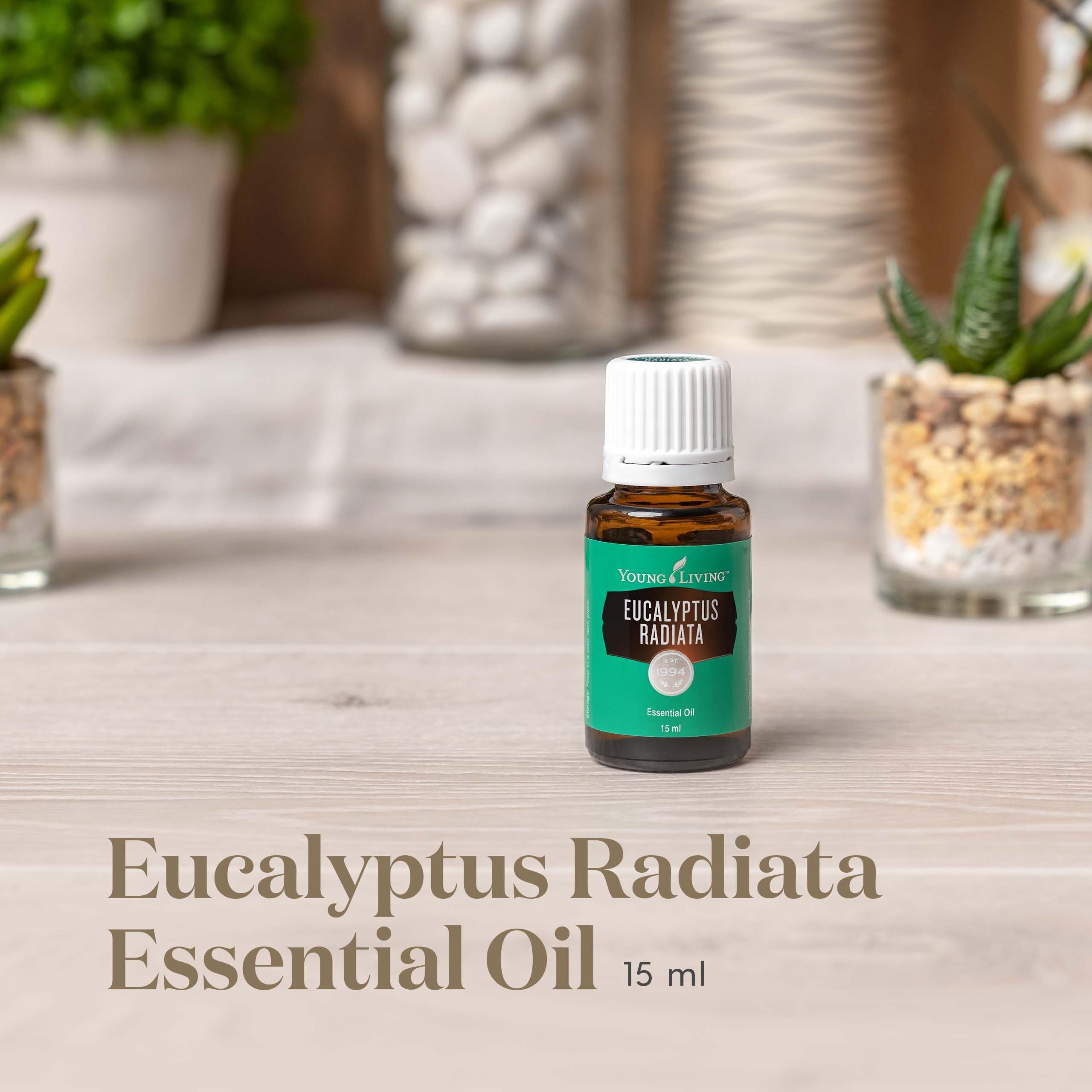 Young Living Eucalyptus Radiata pour view for precise dosing in diffusers.