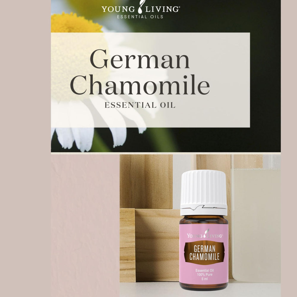 Diffuser setup with Young Living German Chamomile creating a tranquil meditation mood