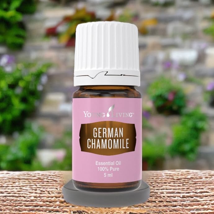 Massage use of Young Living German Chamomile oil in a calming session