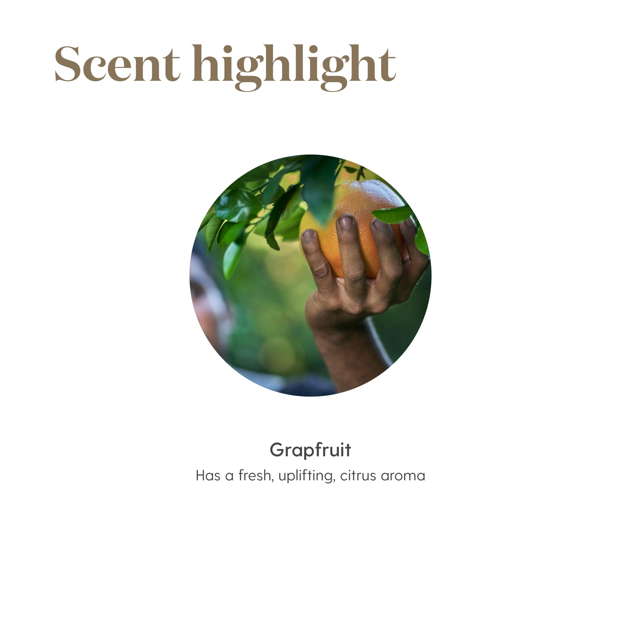 Young Living Grapefruit 15ml vegan and cruelty-free icon signals ethical practices