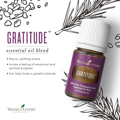 Young Living Gratitude diffuser setup creating a peaceful workspace atmosphere.