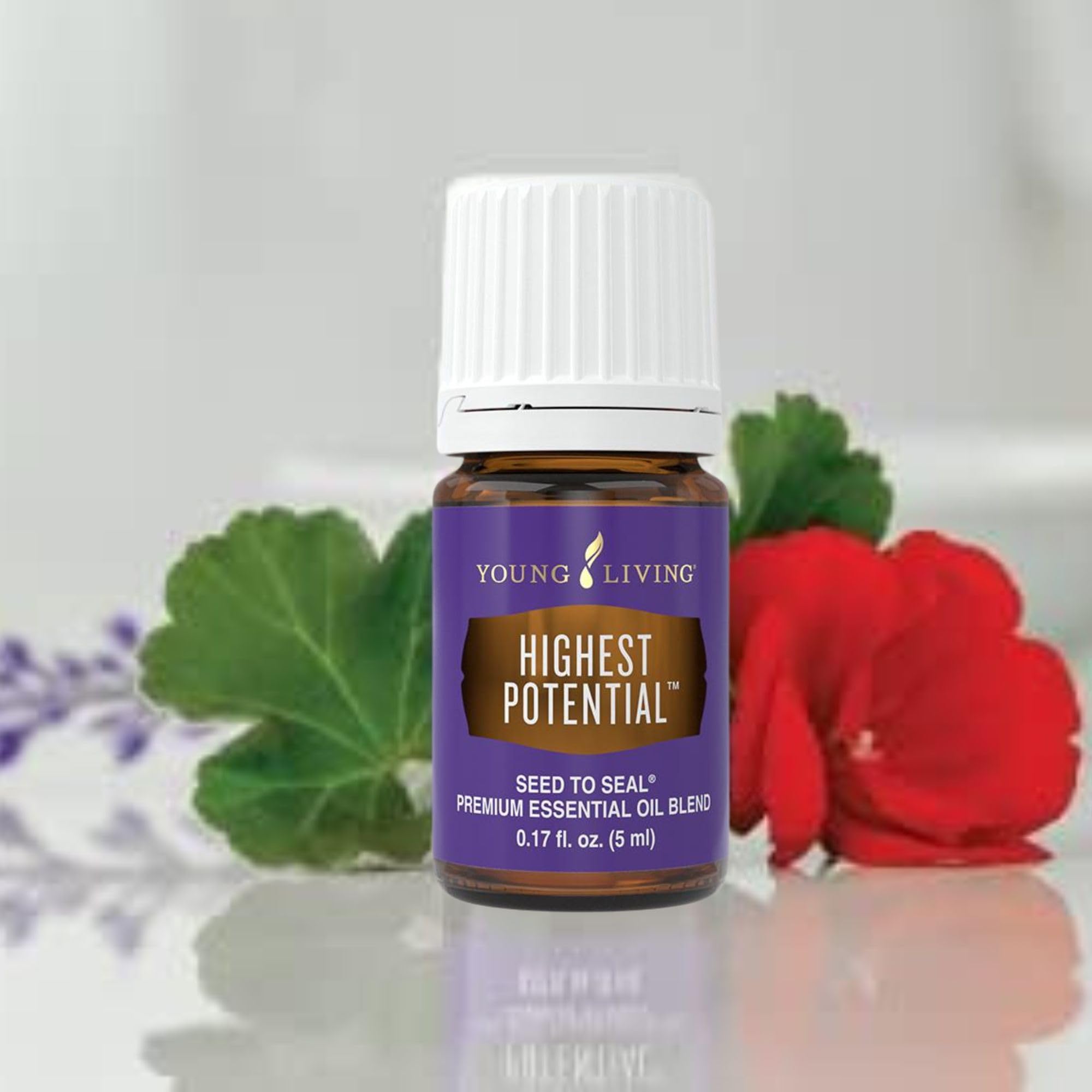 Blue-toned packaging of Young Living Highest Potential oil conveys premium quality
