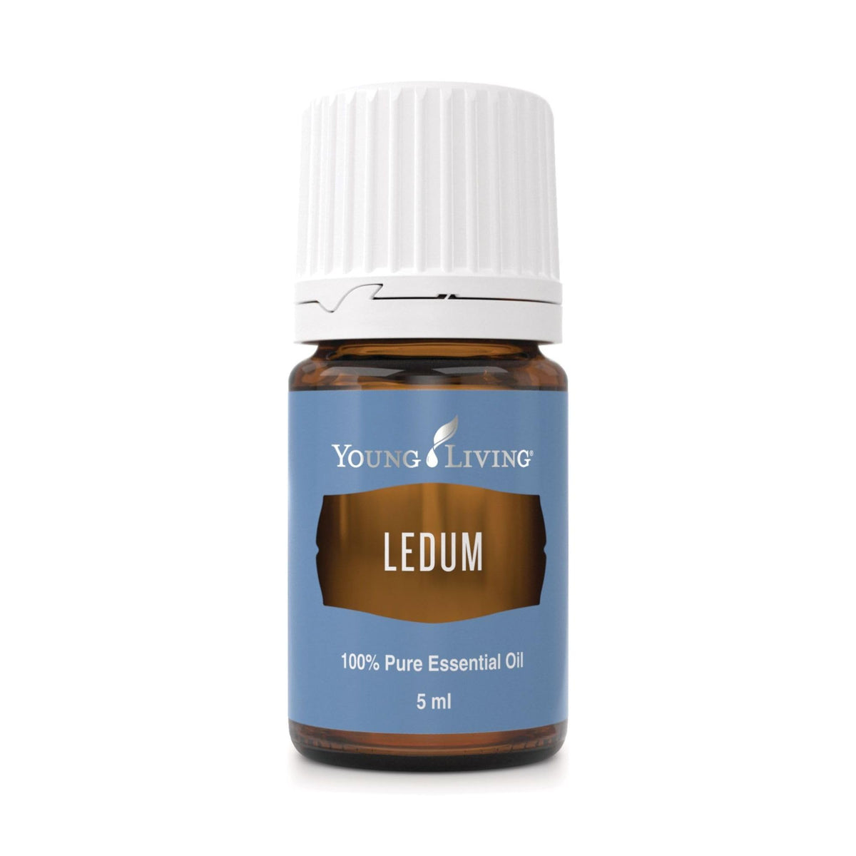 Young Living Ledum Premium Oil bottle close-up for premium aromatherapy and calm ambiance