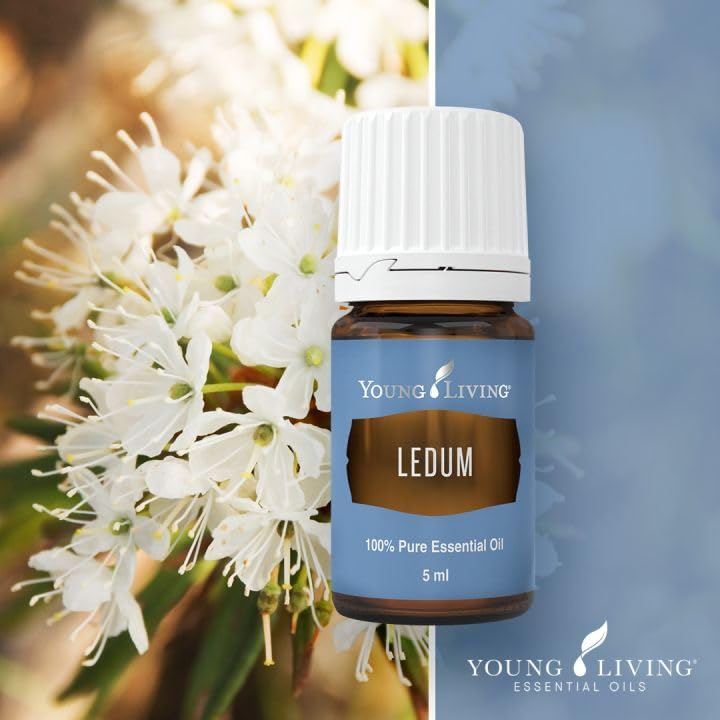 Young Living Ledum Premium Oil bottle label detail emphasizes purity and origin
