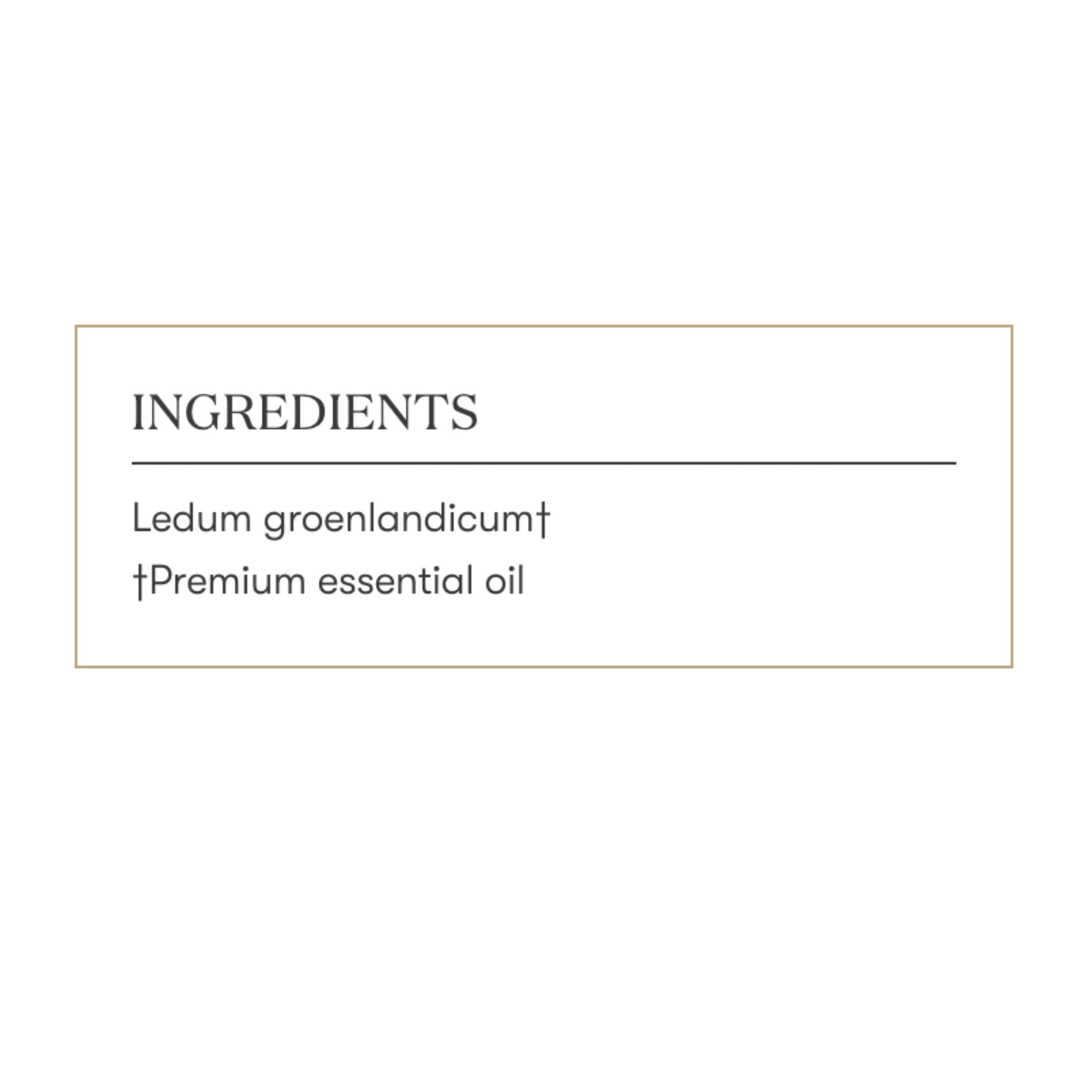 Young Living Ledum Premium Oil packaging display for premium aromatherapy selection