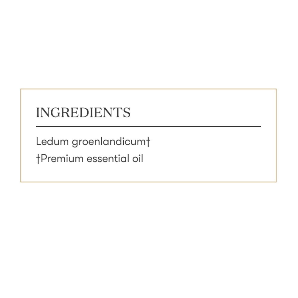 Young Living Ledum Premium Oil packaging display for premium aromatherapy selection