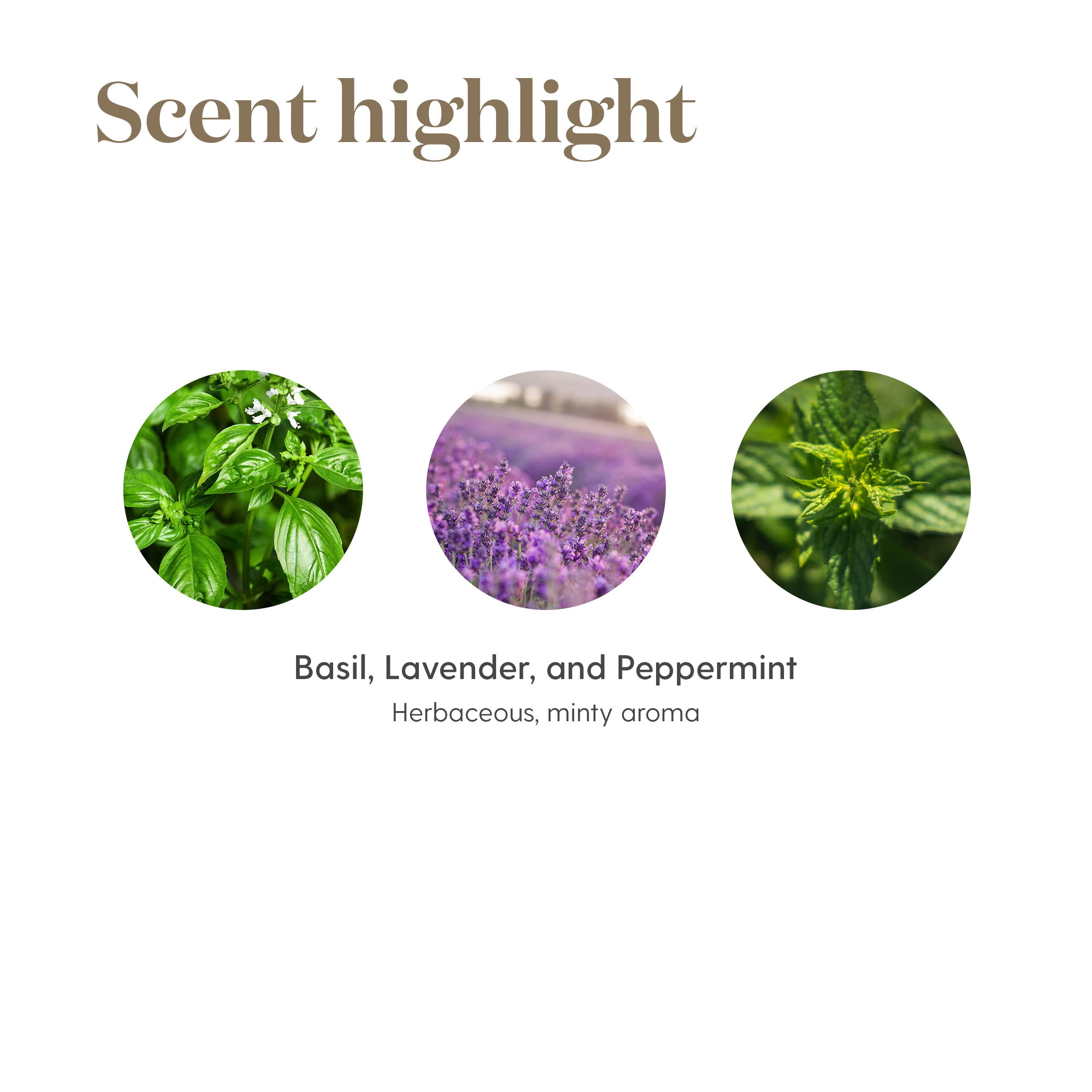 Dilute M-Grain with carrier oil for a relaxing massage