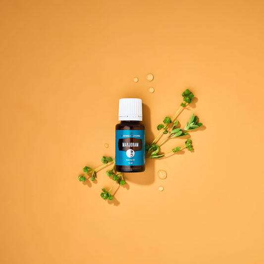 Young Living Marjoram diffuser image showing aroma filling a room for calm evenings