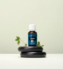 Young Living Marjoram natural aroma close-up emphasizing herbal fragrance