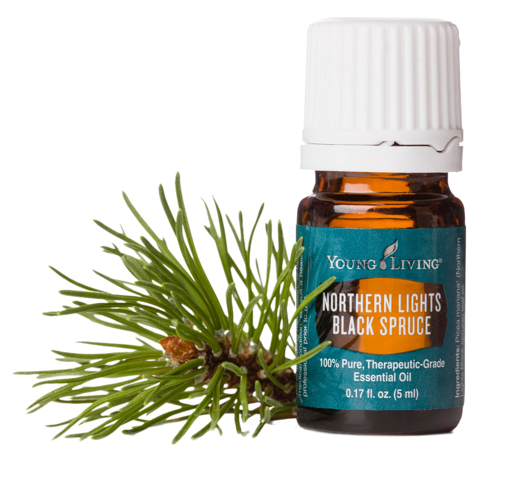 Northern Black Spruce added to lotion enhances skin and hair care.