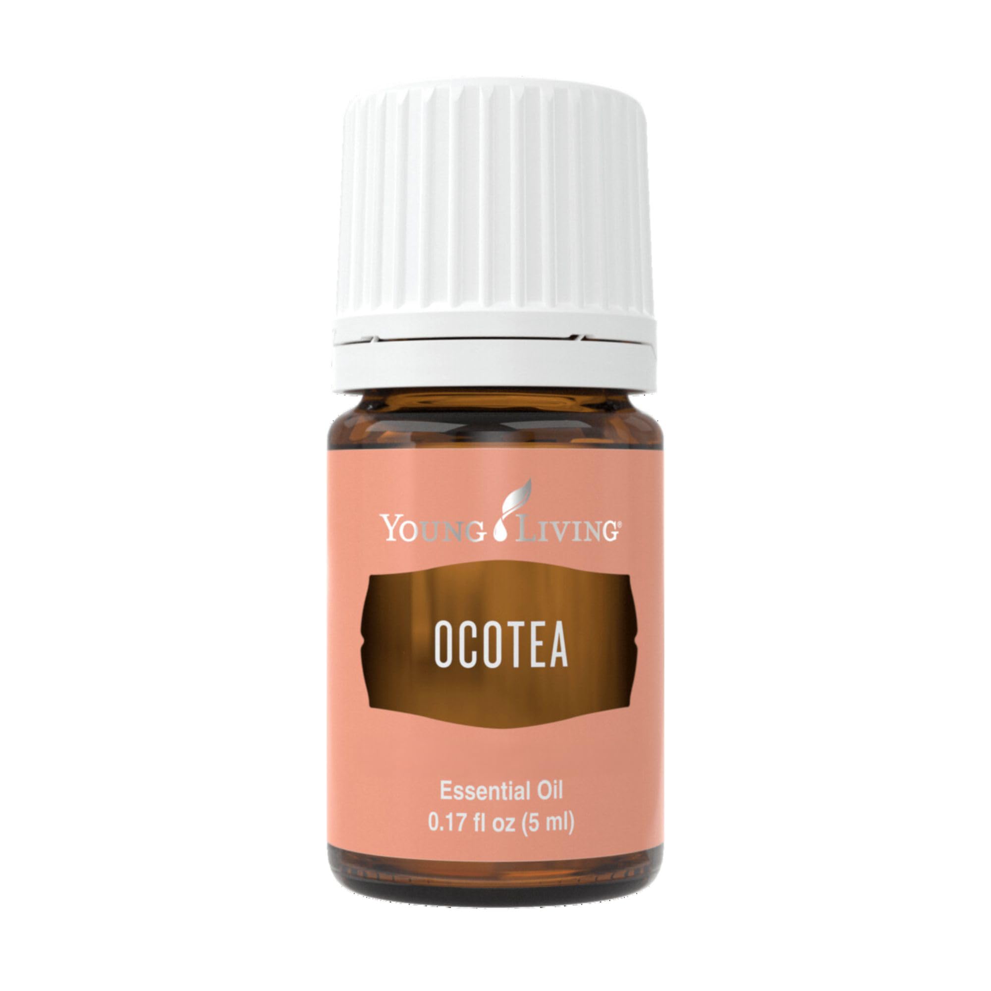 Young Living Ocotea bottle 5 ml showcases a warm, spicy aroma.