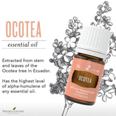 Young Living Ocotea diffuser aroma creates a cozy, mindful atmosphere.
