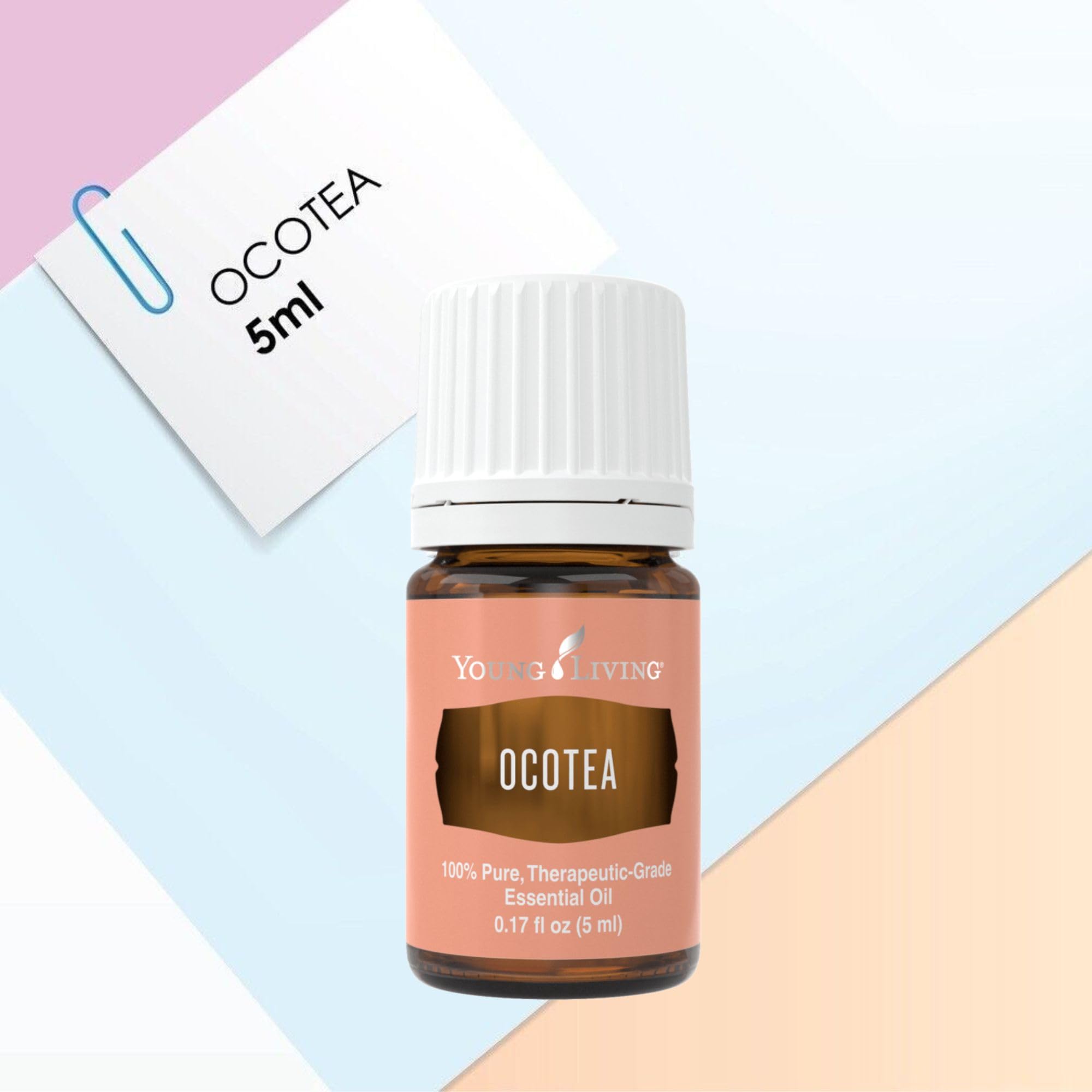 Young Living Ocotea packaging label conveys authenticity and tradition.
