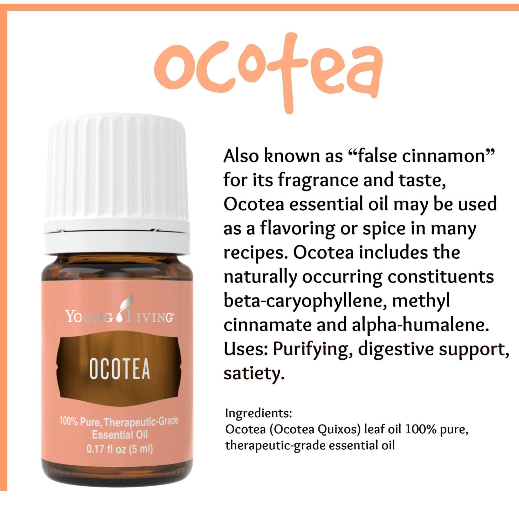 Young Living Ocotea spice note emphasizes its cinnamon substitute profile.