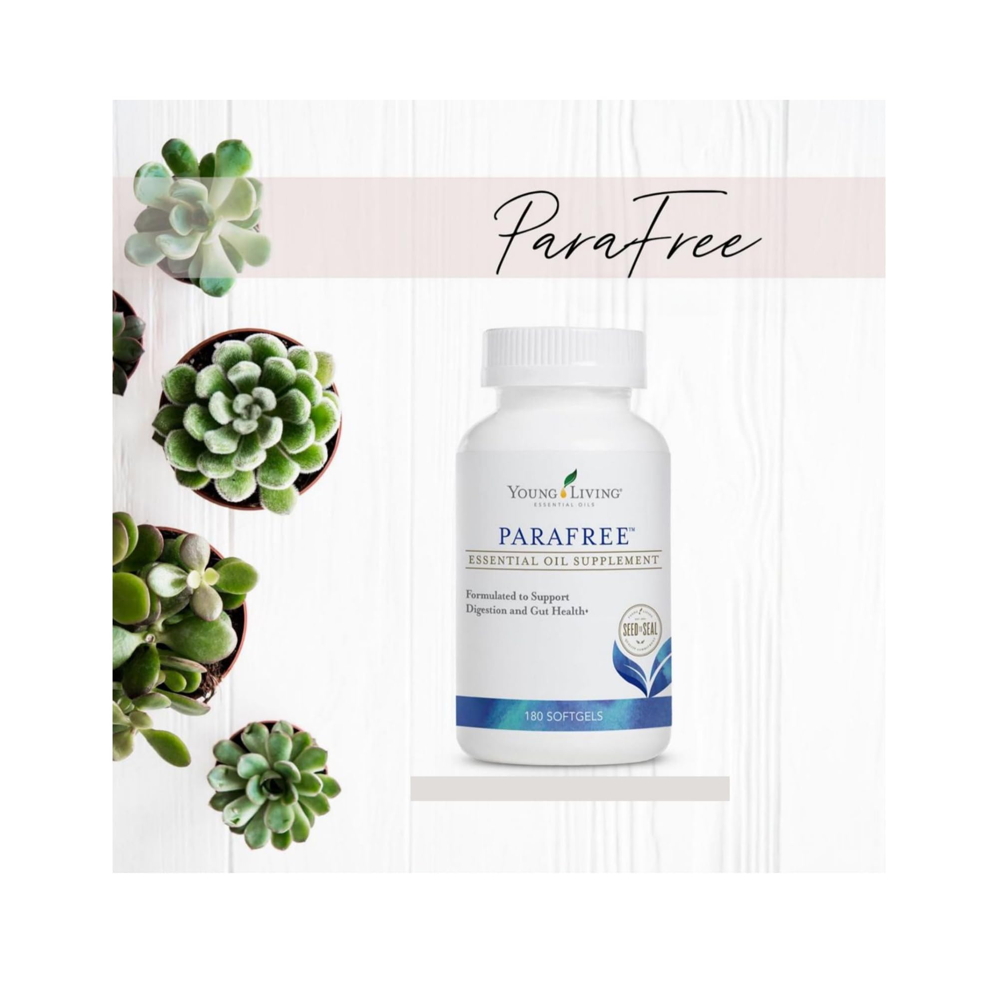 Young Living ParaFree Softgels label close-up highlighting essential oil blend.