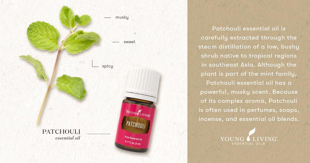 Spa-like bath moment with Young Living Patchouli oil for relaxation.