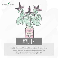 Closeup of Young Living Patchouli oil bottle highlighting rich natural scent.