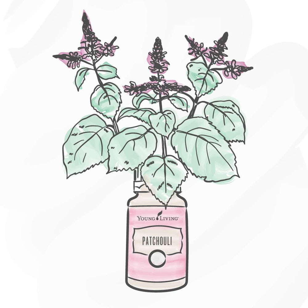 Patchouli oil from Young Living used in skin-care application with dilution guidance.