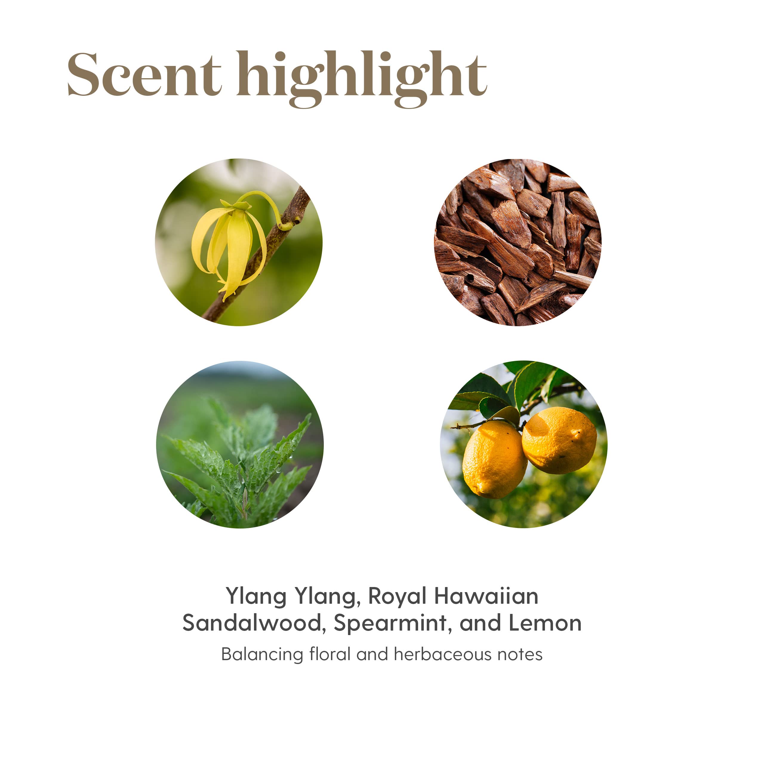 Young Living Release bottle closeup emphasizes premium packaging