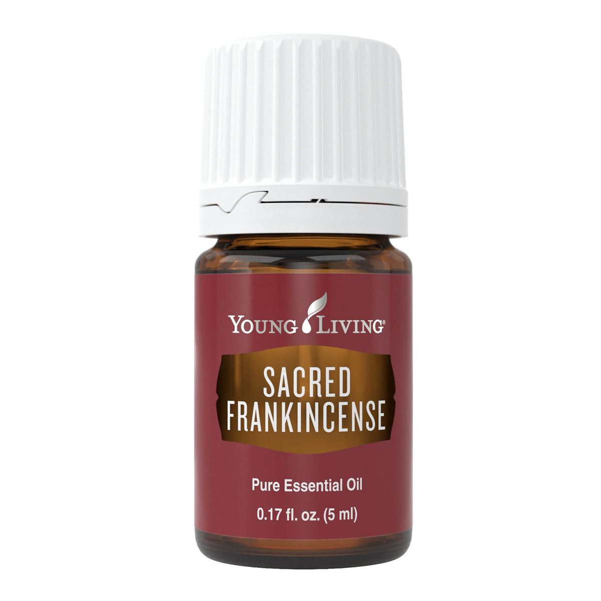 Young Living Sacred Frankincense oil bottle, pure and premium for daily aromatherapy.