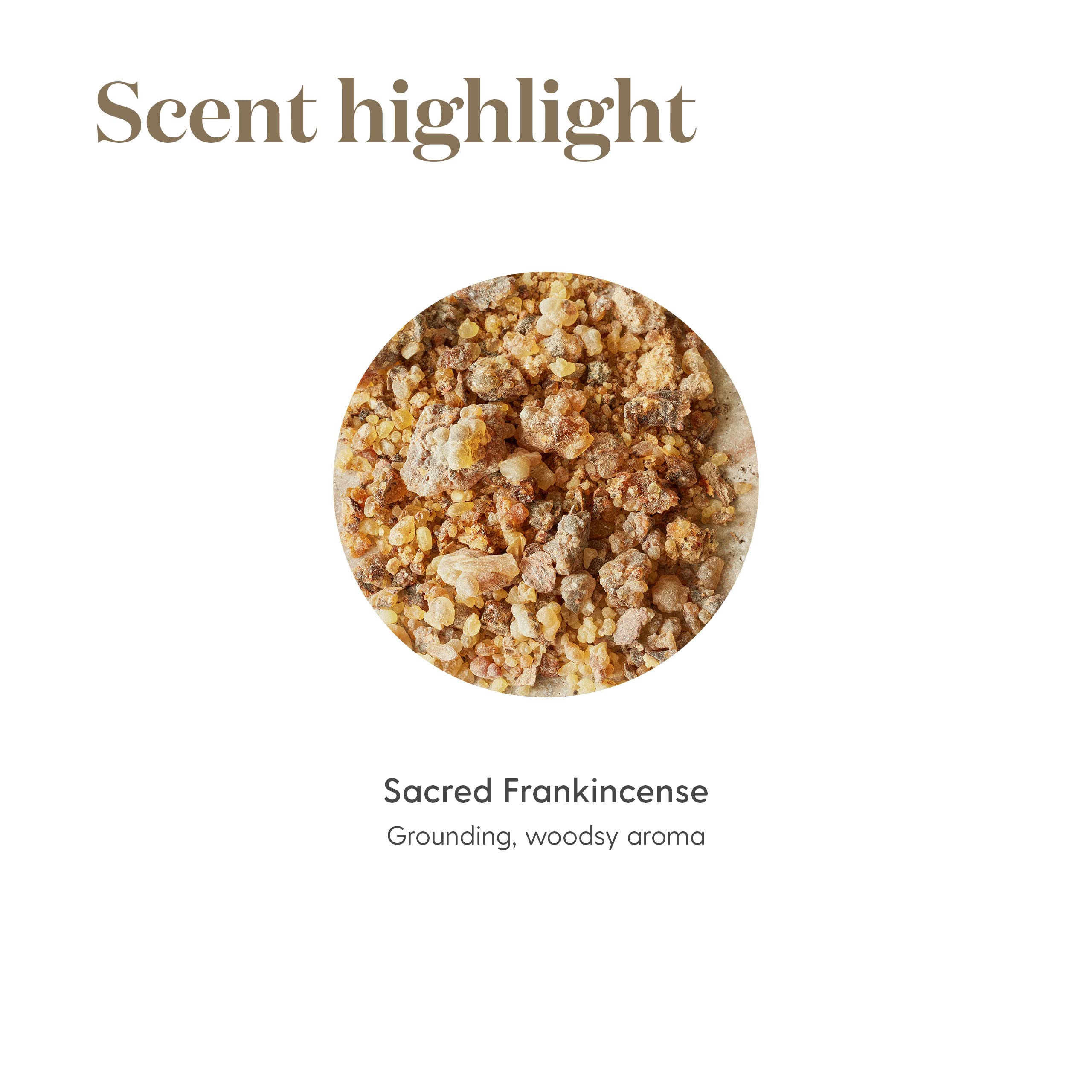 Young Living Sacred Frankincense topical application supports gentle skin rituals.