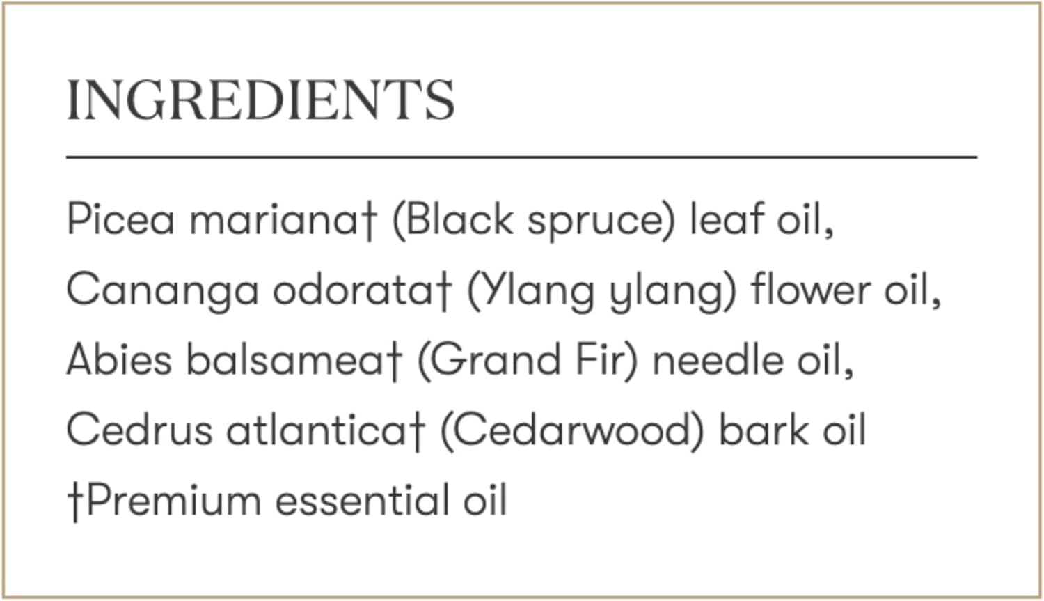 Young Living Sacred Mountain earthy-tones image conveys natural calm and nature-inspired scent.