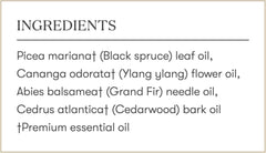 Young Living Sacred Mountain earthy-tones image conveys natural calm and nature-inspired scent.