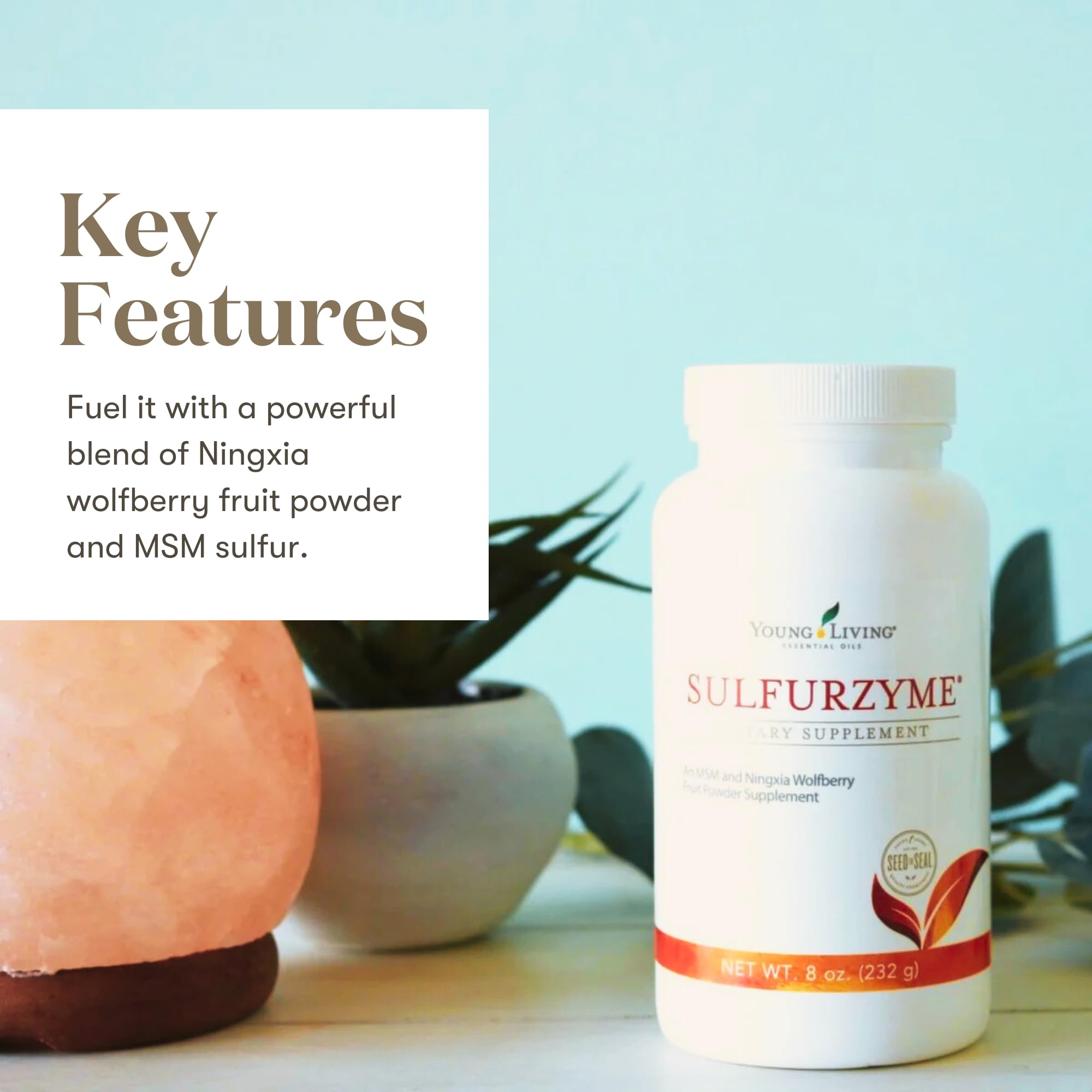 Young Living Sulfurzyme powder with scoop ready to blend into a drink for daily energy.