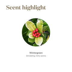 Young Living Wintergreen diffusion mist illustrates ambient aroma supporting relaxation and balance.