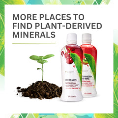 Youngevity Plant Derived Liquid Minerals in a glass ready to mix into a drink