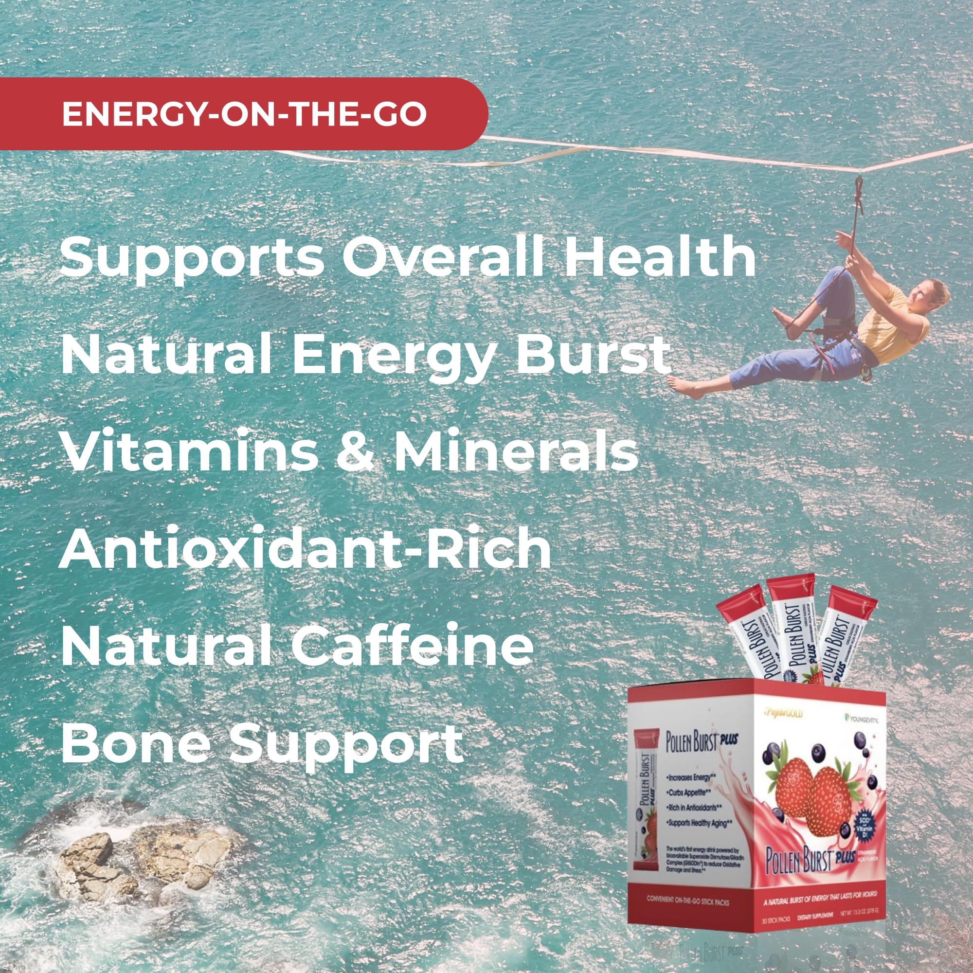 Green tea extract and natural caffeine in Youngevity formula