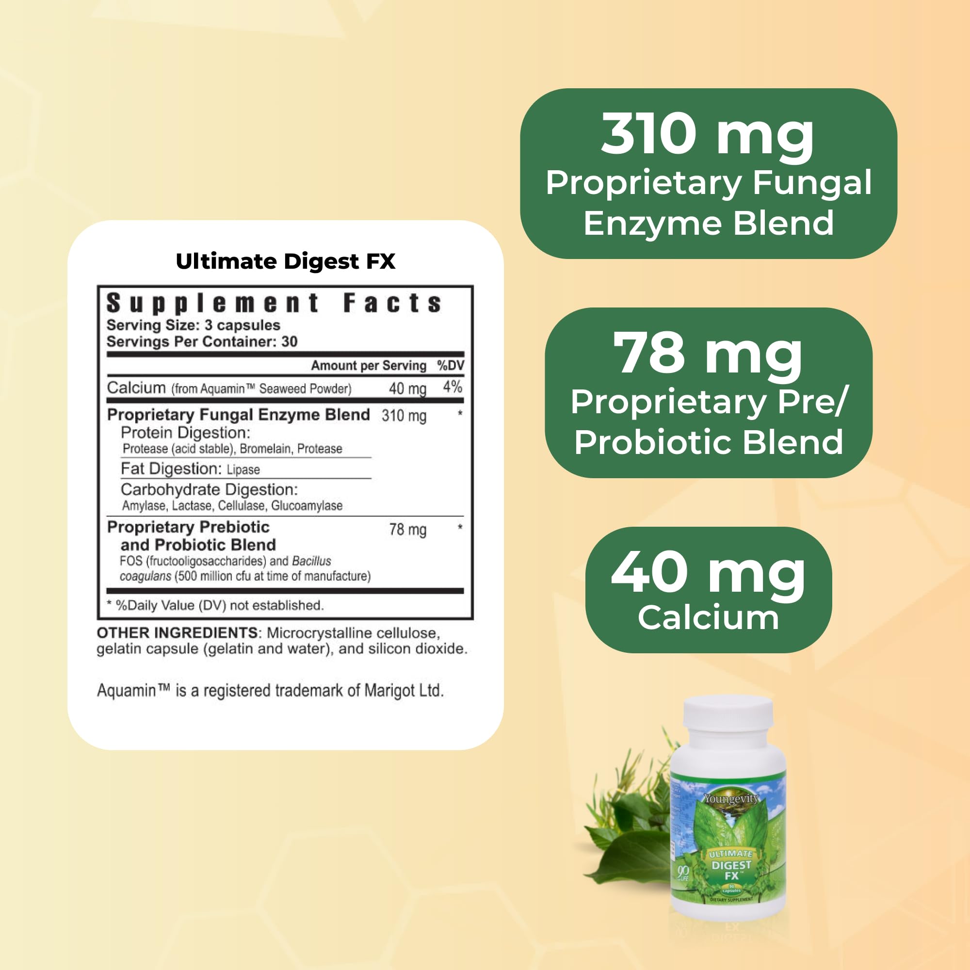 Youngevity Ultimate Digest FX plant enzyme blend shown with meals