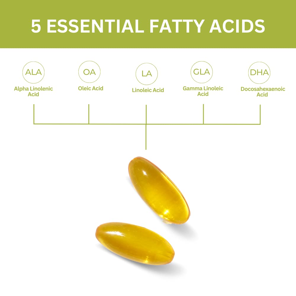 Youngevity Ultimate EFA four-pack packaging, highlighting size and bundle value.