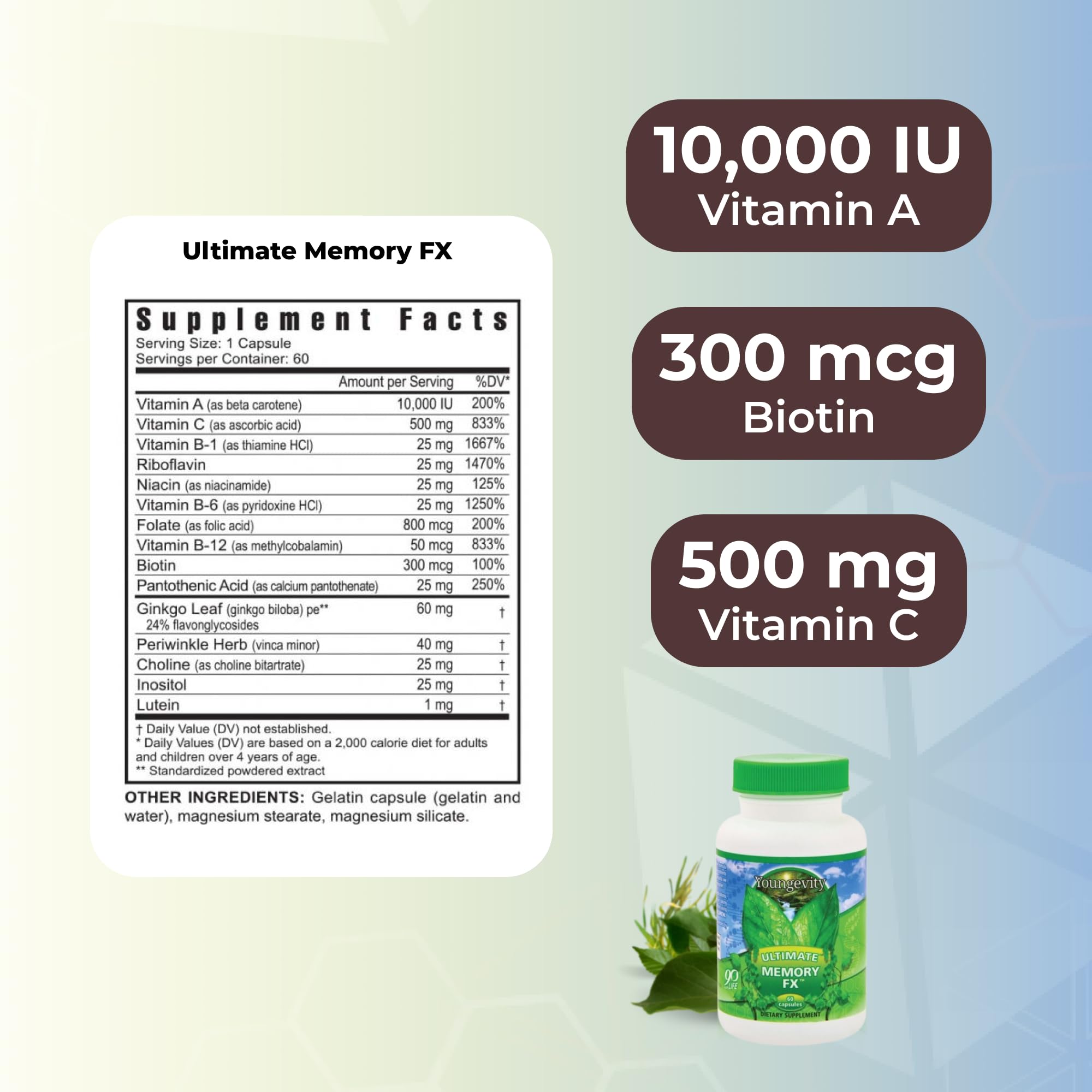 Youngevity Ultimate Memory FX features essential brain vitamins B1 B12 and C