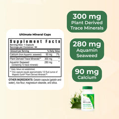 Youngevity Ultimate Mineral Caps with Aquamin seaweed source for trace minerals