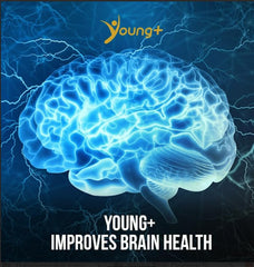 Young Plus brain focus emphasis with glutamic acid for clarity.