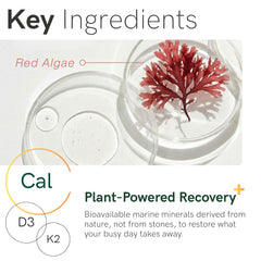 ZAB Algae Calcium capsules in bottle ready for daily intake