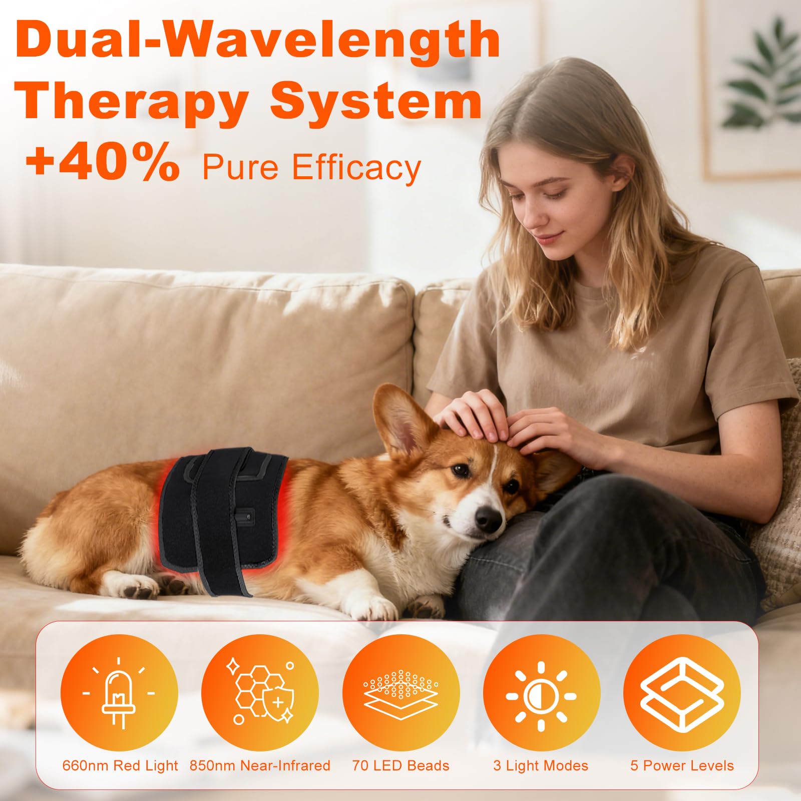 ZAEXAE dual-wavelength red-light therapy for pets supporting mobility.