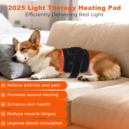 ZAEXAE infrared therapy belt on a cat for skin comfort.