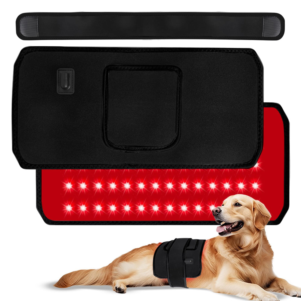 ZAEXAE infrared therapy belt on a dog for joint relief.