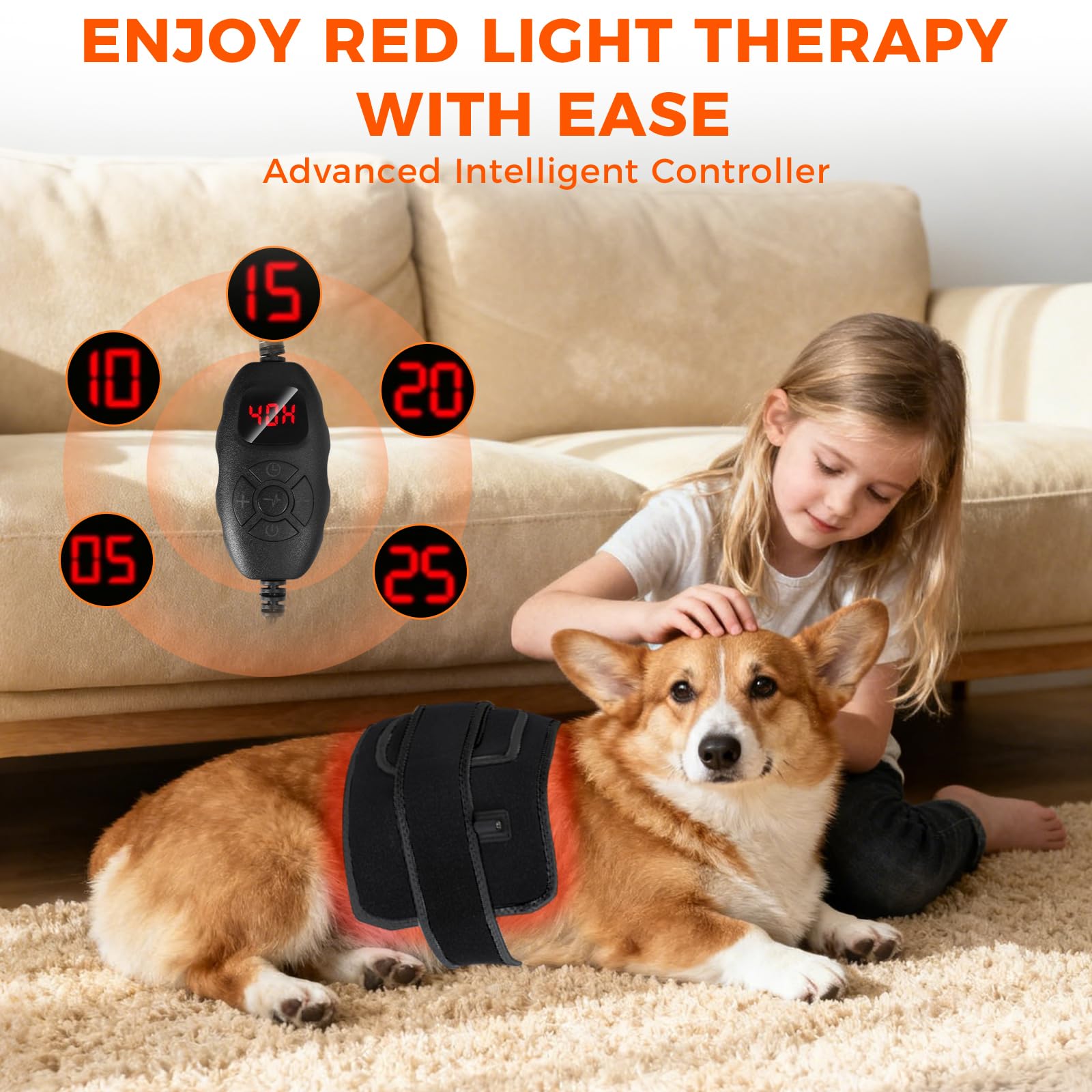 ZAEXAE portable therapy belt for at-home pet care.