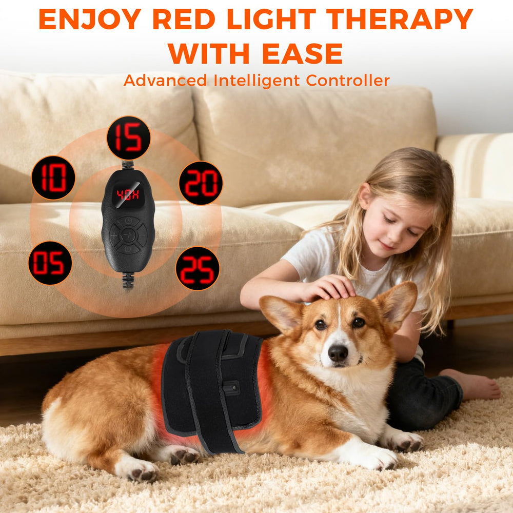 ZAEXAE portable therapy belt for at-home pet care.