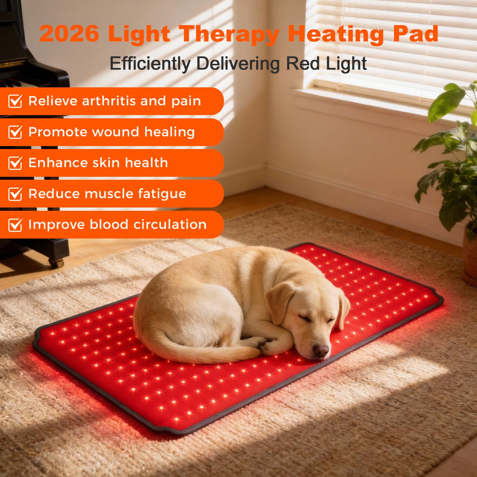 ZAEXAE red light therapy pad wrapped around a dog's belly.