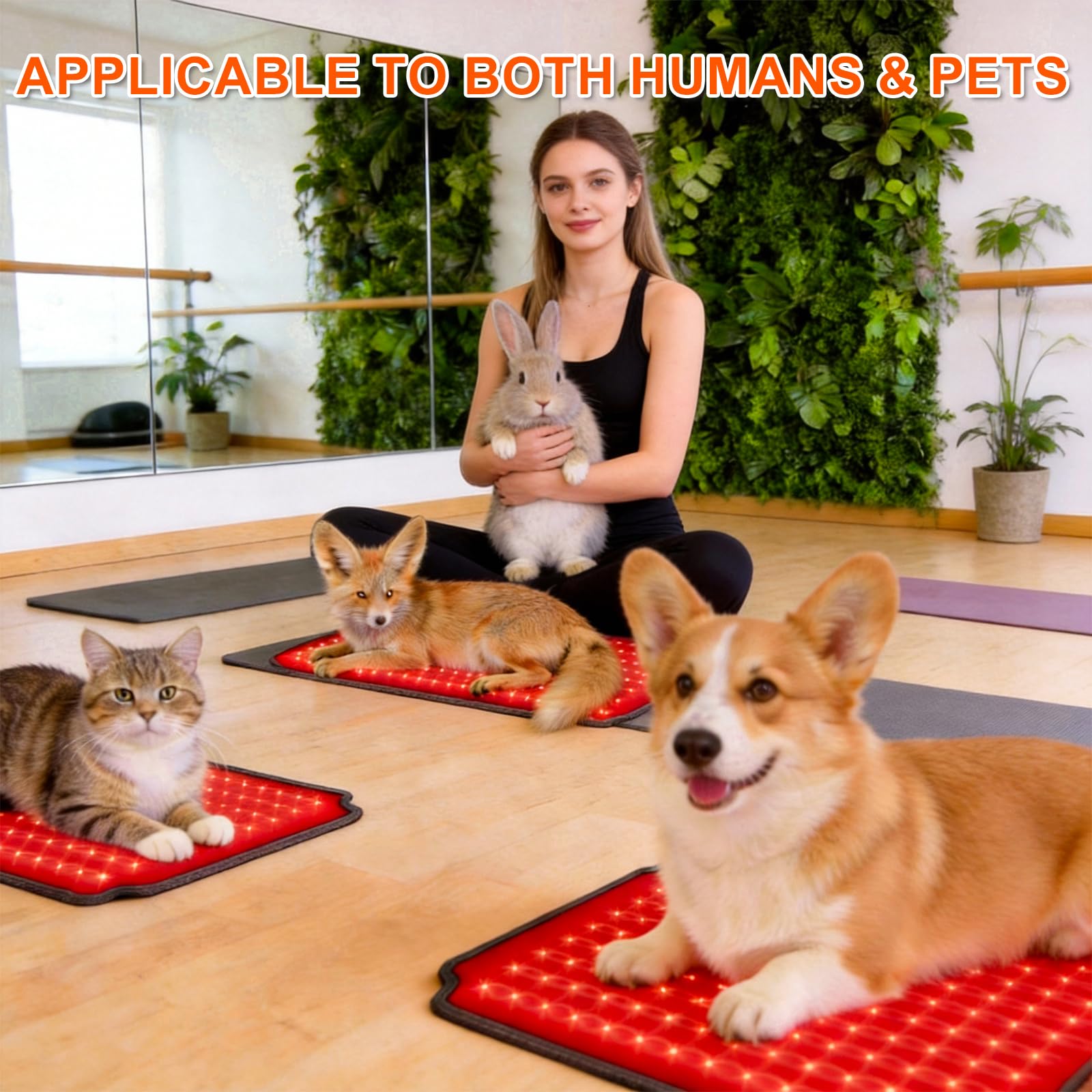 ZAEXAE gift-ready packaging suited for pet lovers.