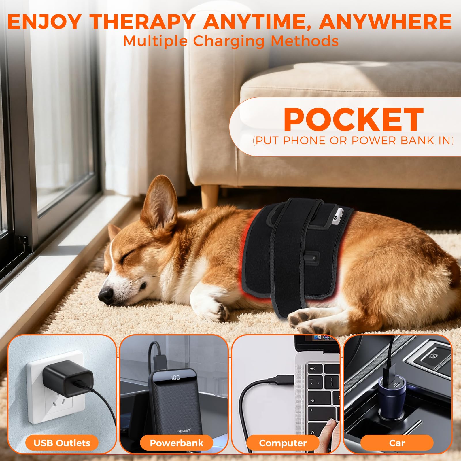 ZAEXAE USB-powered pet therapy belt for easy home use.