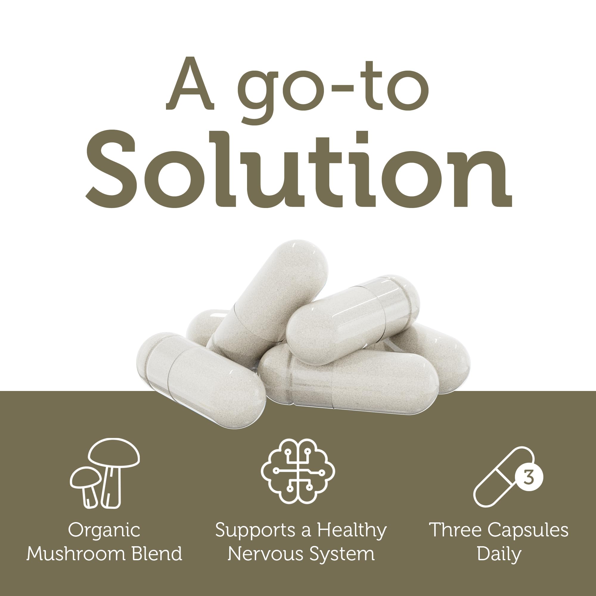 Zahler AdultFocus Suntheanine ingredient label indicating calming attention support