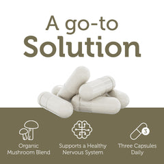 Zahler AdultFocus Suntheanine ingredient label indicating calming attention support