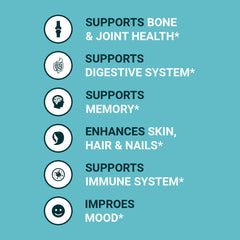 Zammex bone broth protein powder vanilla mix in glass for shakes.