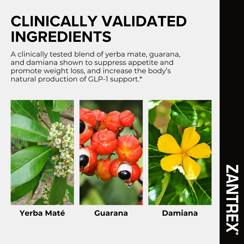 Zantrex Black ghrelin regulation supports steadier hunger signals.